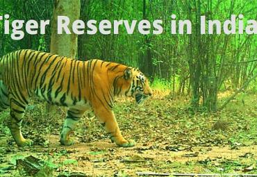 Dholpur-Karauli Tiger Reserve, State of Rajasthan,National Tiger Conservation Authority (NTCA)