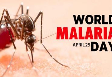 World Malaria Day  Observed on 25th April