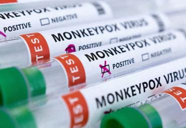 All You Need To Know About Monkeypox: WHO Declared Global Health Emergency