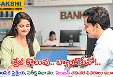 SBI Bank PO Job Guidance